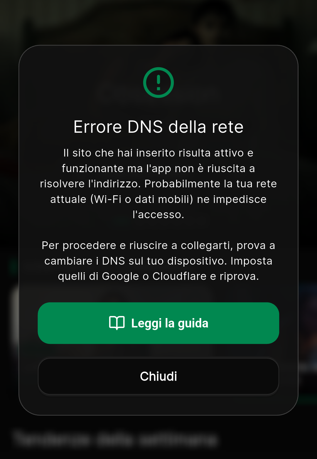Screenshot dell'Errore DNS della rete